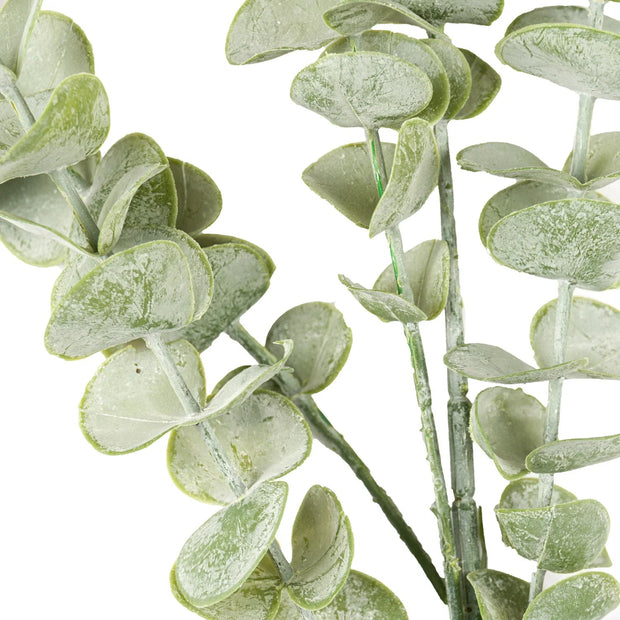 Eucalyptus Gunnii Extra Tall Stem - Faux Plants & FlowersFaux Plants & Flowers - Lulu Loves Home