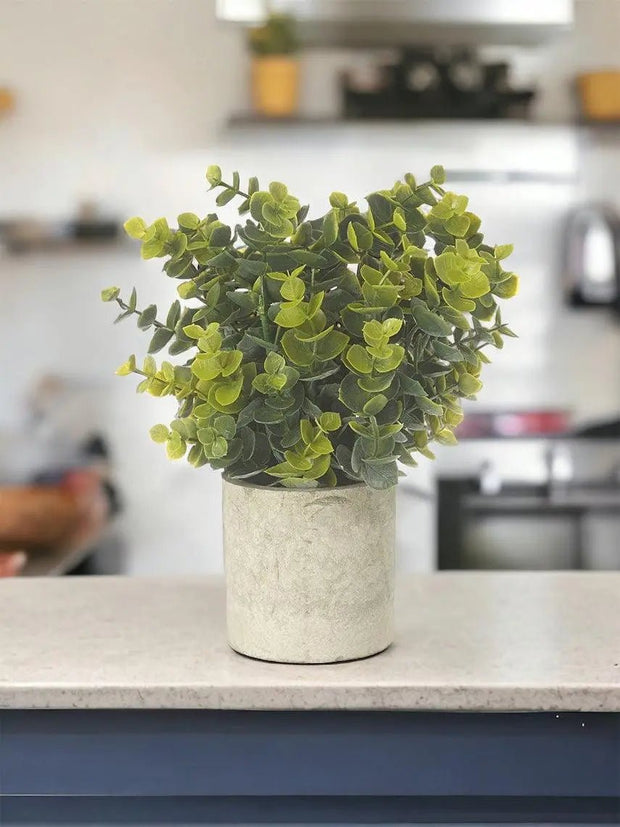 Faux Foliage - Ceramic Potted Olive Green Eucalyptus - Faux Plants & FlowersFaux Plants & Flowers - Lulu Loves Home