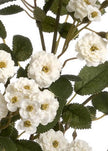 Faux Foliage, Classic White Meadow Rambling Rose Stem - Faux Plants & FlowersFaux Plants & Flowers - Lulu Loves Home