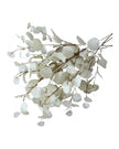 Faux Foliage - Cream Flat Leaf Eucalyptus - Faux Plants & FlowersFaux Plants & Flowers - Lulu Loves Home