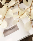 Faux Foliage - Cream Flat Leaf Eucalyptus - Faux Plants & FlowersFaux Plants & Flowers - Lulu Loves Home