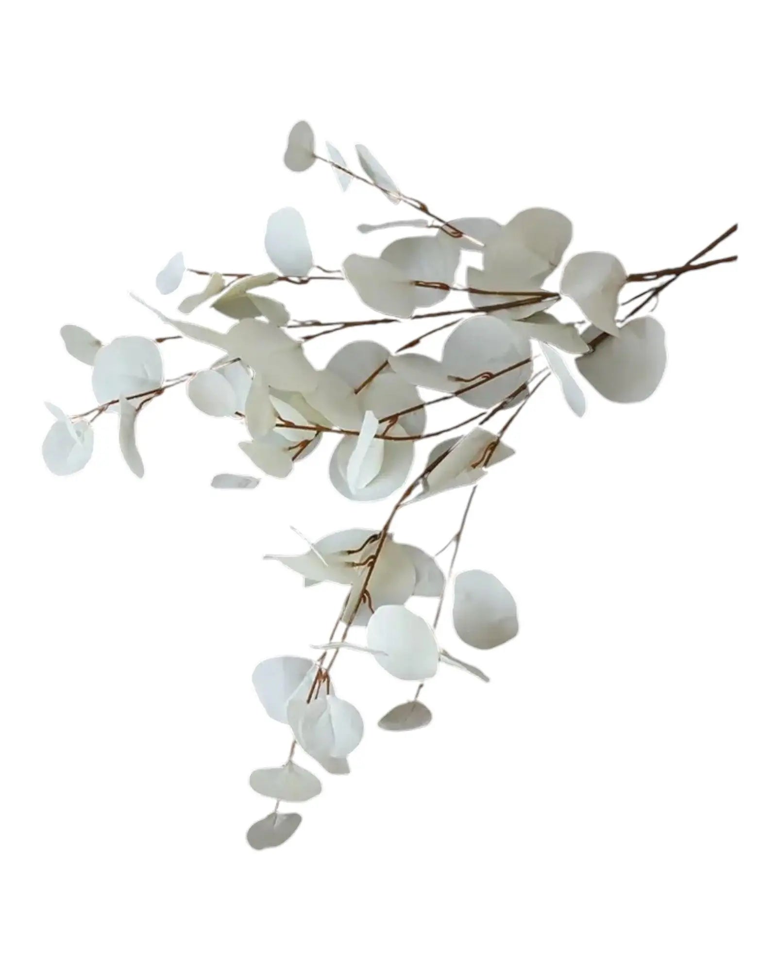 Faux Foliage - Cream Flat Leaf Eucalyptus - Faux Plants & FlowersFaux Plants & Flowers - Lulu Loves Home