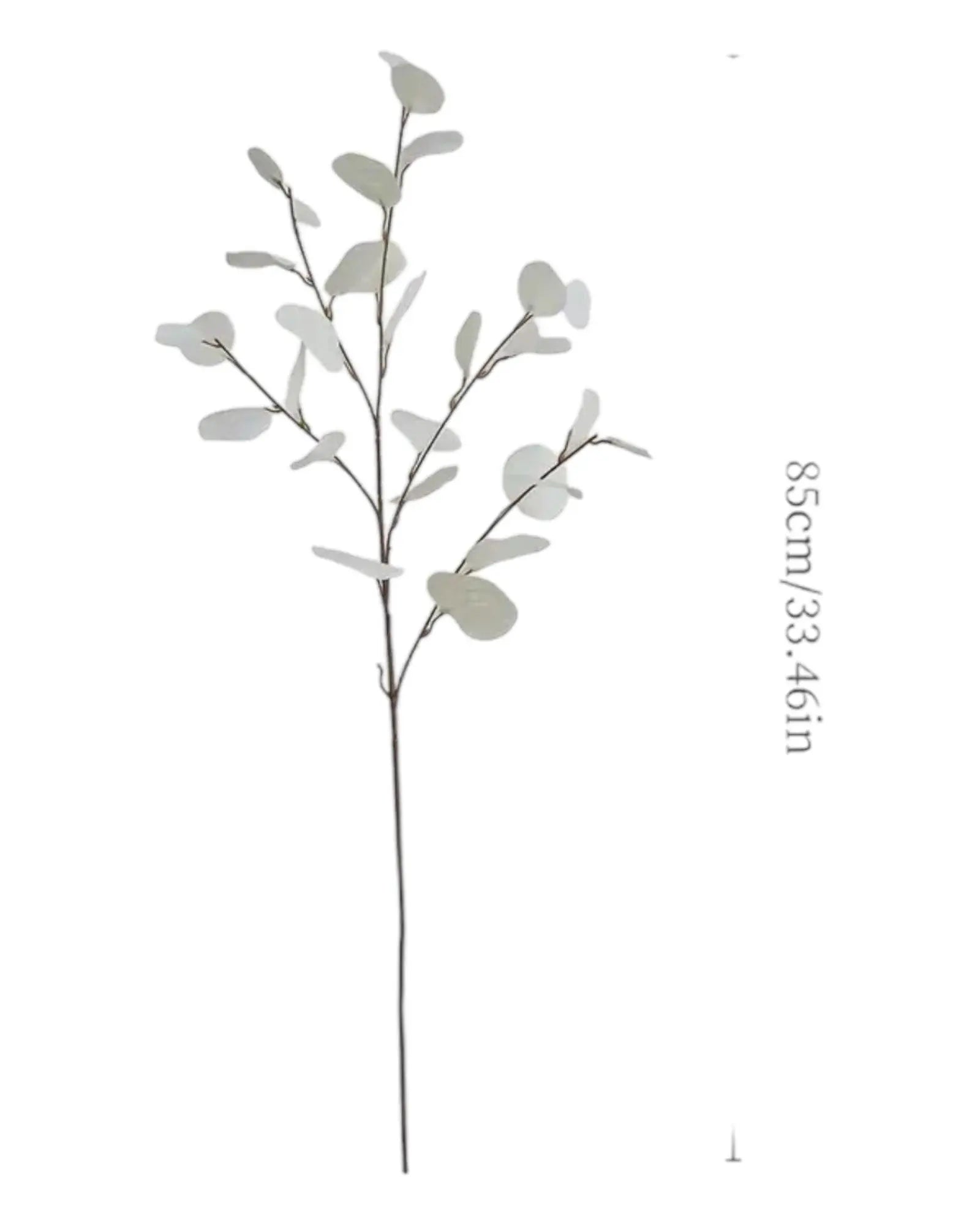 Faux Foliage - Cream Flat Leaf Eucalyptus - Faux Plants & FlowersFaux Plants & Flowers - Lulu Loves Home