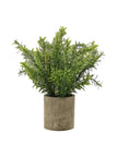 Faux Foliage - Potted Herb In Neutral Stone Pot - Faux Plants & FlowersFaux Plants & Flowers - Lulu Loves Home