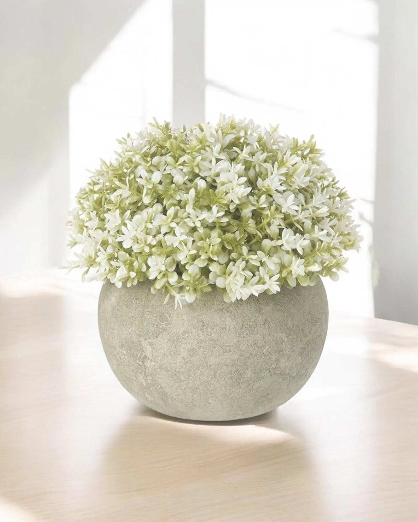 Faux Foliage - Potted Small Light Green Hebe Plant - Faux Plants & FlowersFaux Plants & Flowers - Lulu Loves Home