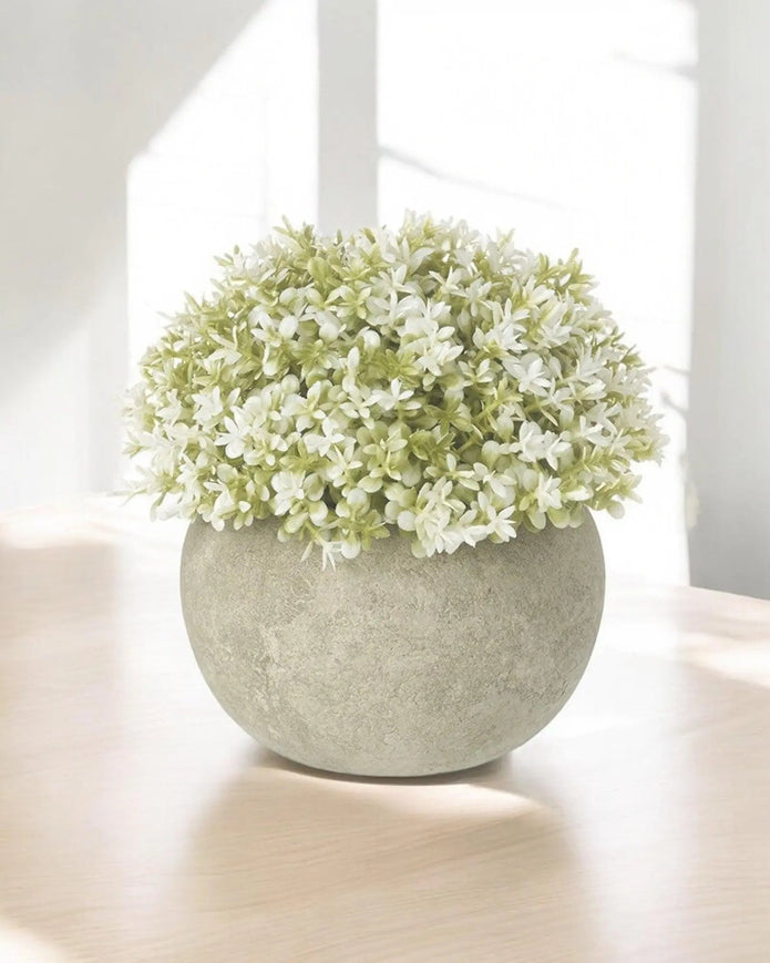 Faux Foliage - Potted Small Light Green Hebe Plant - Faux Plants & FlowersFaux Plants & Flowers - Lulu Loves Home