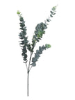 Faux Foliage - Tall Silver Dollar Eucalyptus Stem - Faux Plants & FlowersFaux Plants & Flowers - Lulu Loves Home
