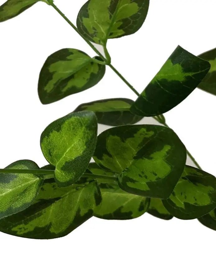 Faux Foliage - Variegated Foliage Stem - Faux Plants & FlowersFaux Plants & Flowers - Lulu Loves Home