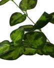 Faux Foliage - Variegated Foliage Stem - Faux Plants & FlowersFaux Plants & Flowers - Lulu Loves Home