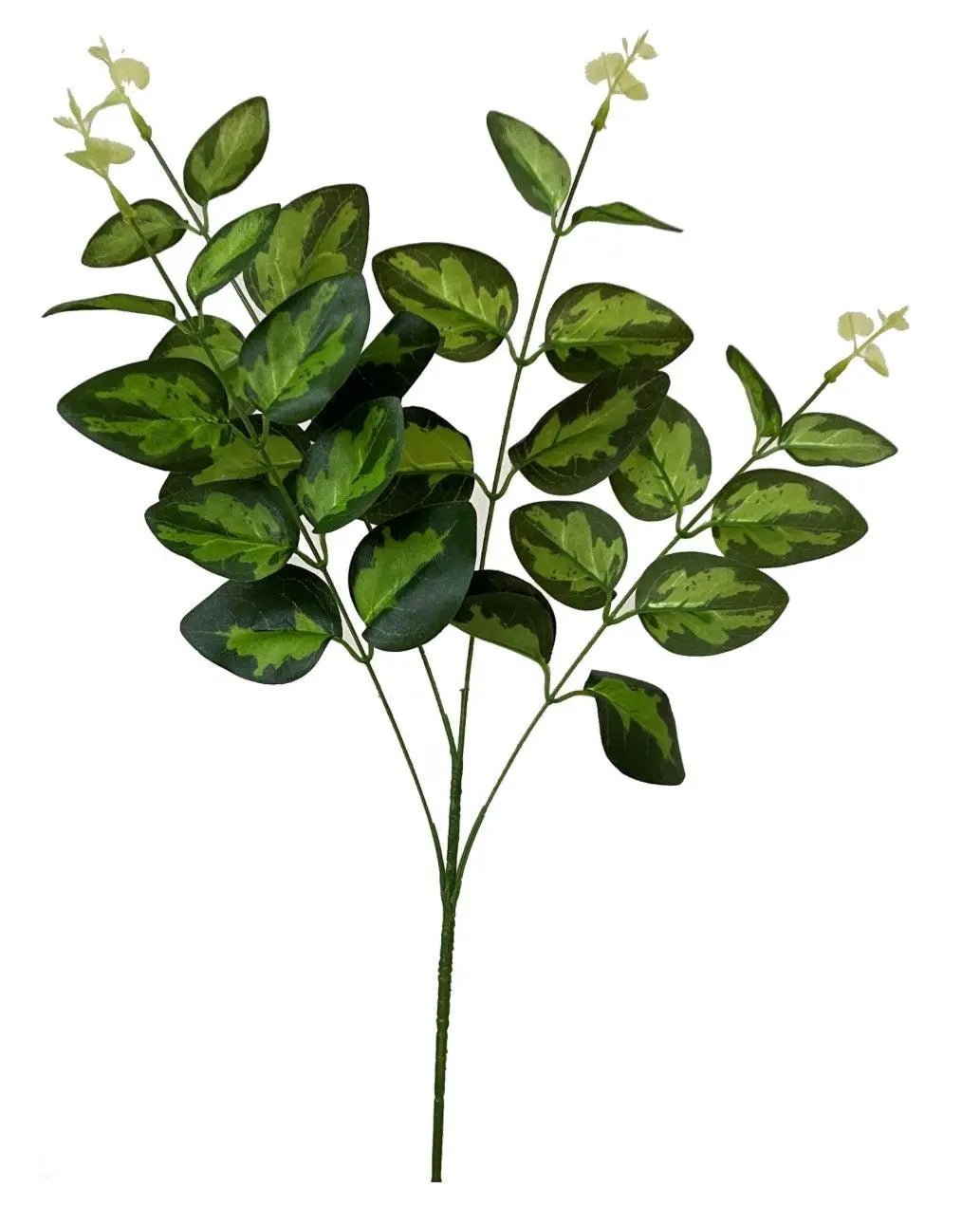 Faux Foliage - Variegated Foliage Stem - Faux Plants & FlowersFaux Plants & Flowers - Lulu Loves Home