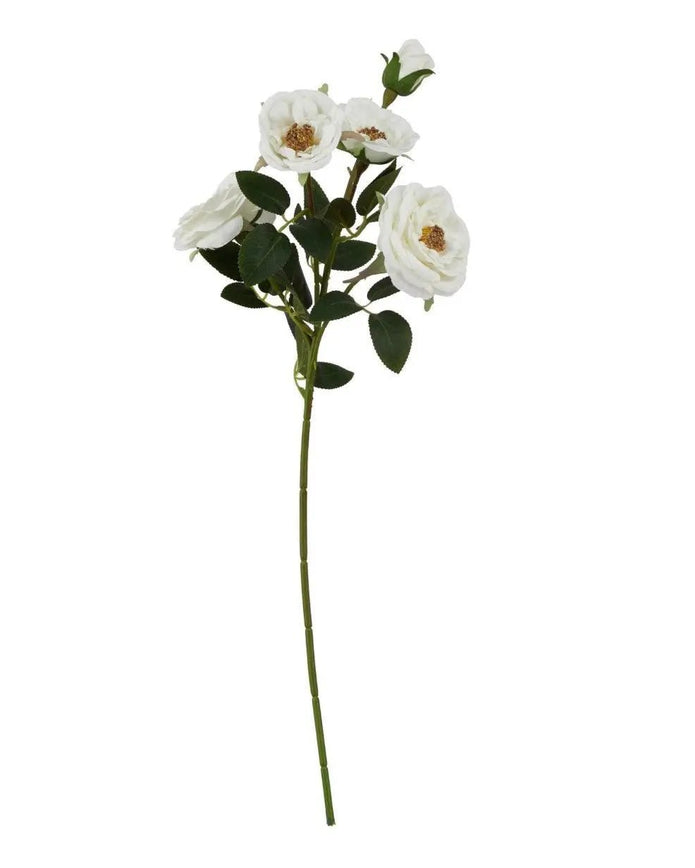 Faux Foliage - White Hedge Rose Stem - Faux Plants & FlowersFaux Plants & Flowers - Lulu Loves Home