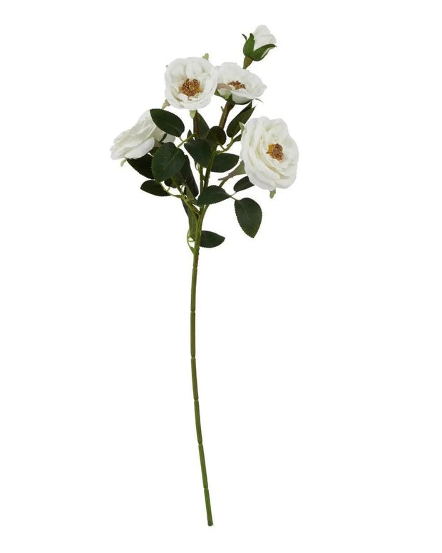 Faux Foliage - White Hedge Rose Stem - Faux Plants & FlowersFaux Plants & Flowers - Lulu Loves Home