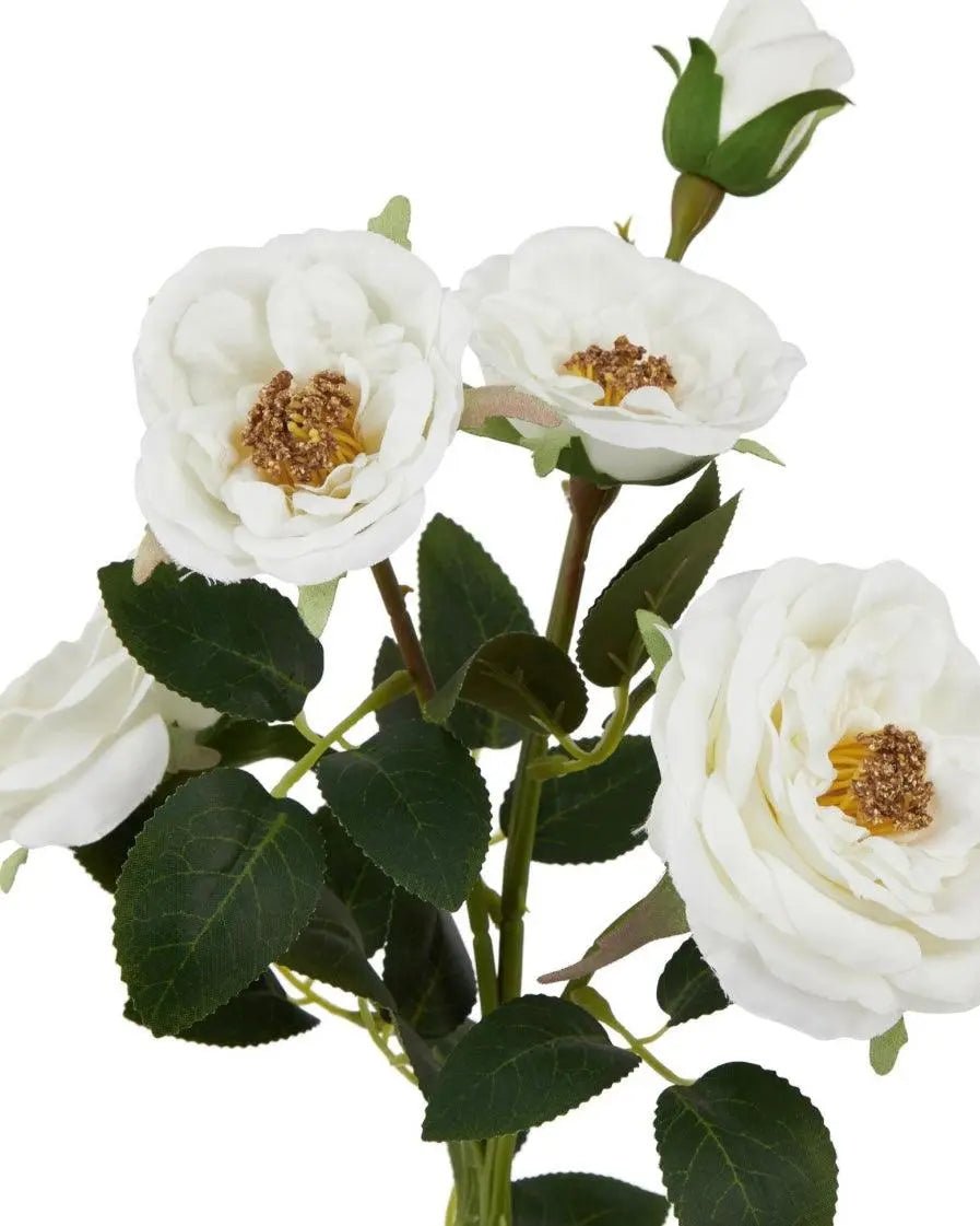 Faux Foliage - White Hedge Rose Stem - Faux Plants & FlowersFaux Plants & Flowers - Lulu Loves Home
