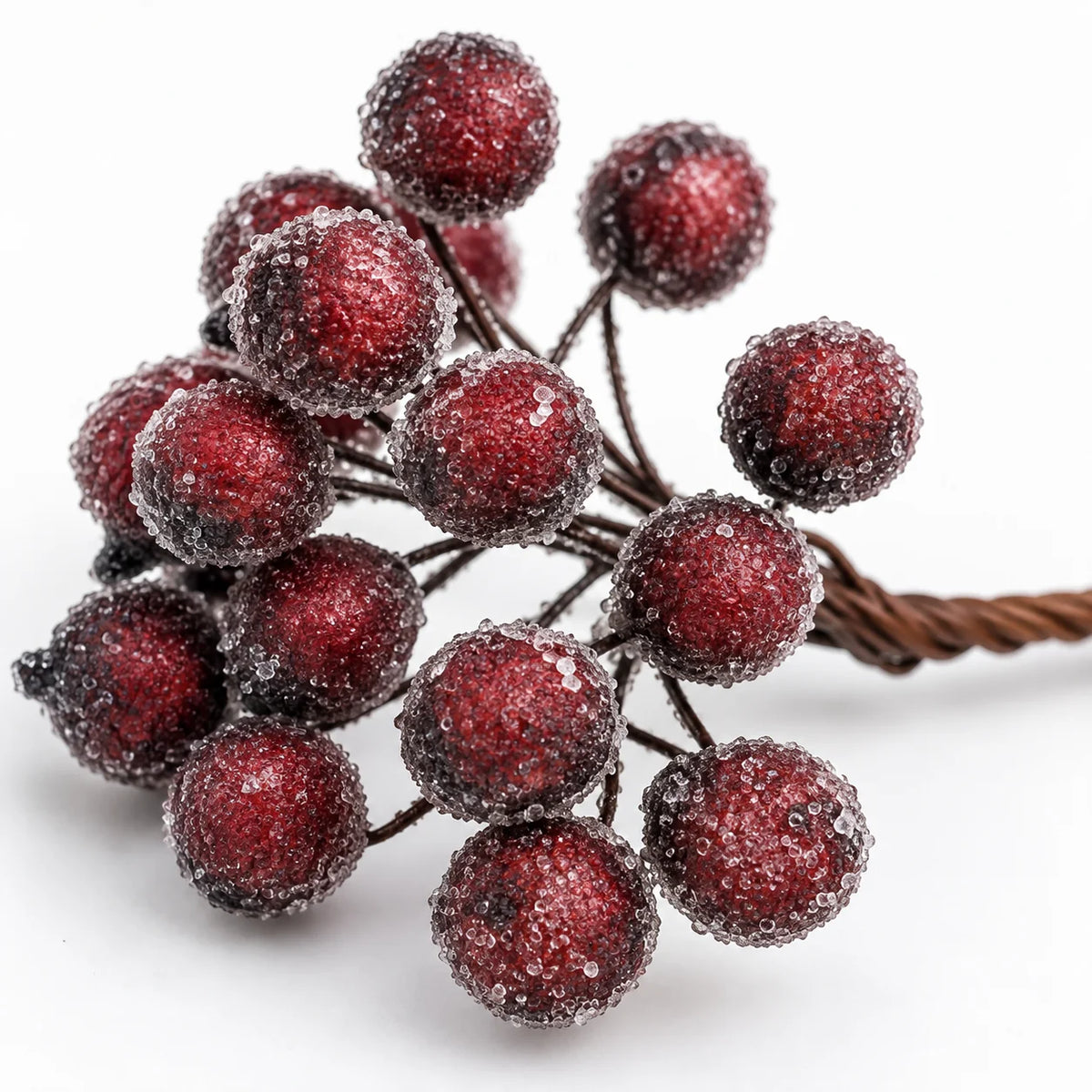 Close-up of frosted red berries on the mini stem