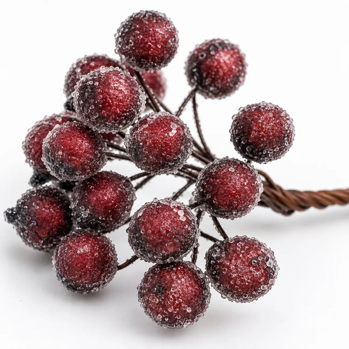 Close-up of frosted red berries on the mini stem
