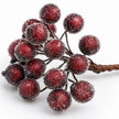 Close-up of frosted red berries on the mini stem