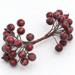 Frosted red berry mini stem on a white background
