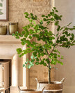 Artificial Faux Eucalyptus Tree