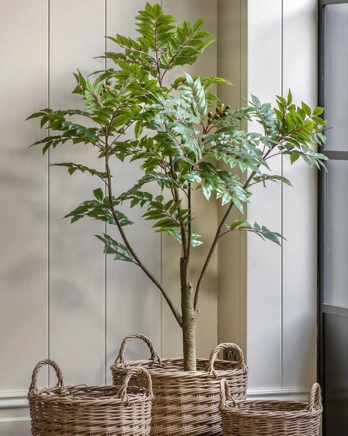 Large artificial Chinese white olive tree by Gallery Direct, realistic faux plant with lush green leaves in a decorative pot.