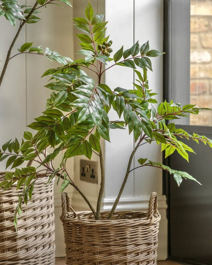 Small artificial Chinese white olive tree from Gallery Direct, realistic faux plant for home or office decor.
