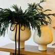 Palawan Neutral Footed Vase