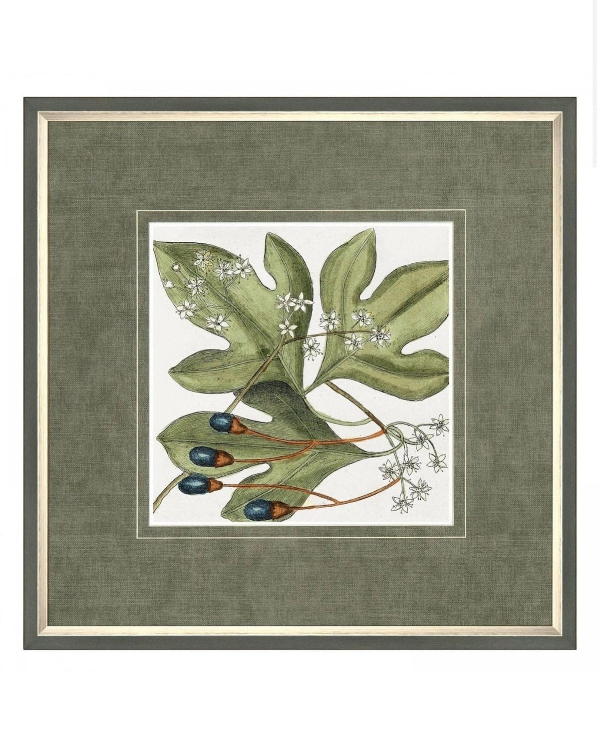 Framed botanical canvas wall art by Gallery Direct featuring vibrant floral design for home decor.
