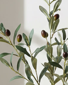 Artificial tall olive branch by Gisela Graham, faux botanical plant for home decor, featuring realistic green olive leaves and slender branches.