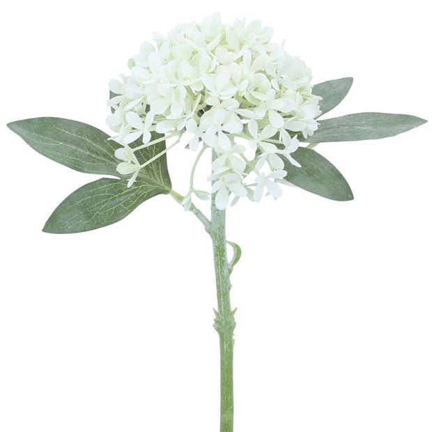 Artificial white mini hydrangea stem from Gisela Graham, showcasing realistic white hydrangea blossoms on a slender stem.