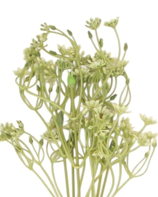 Artificial wild daisy pick stem by Gisela Graham featuring realistic yellow and white daisies on a green stem for floral decor.