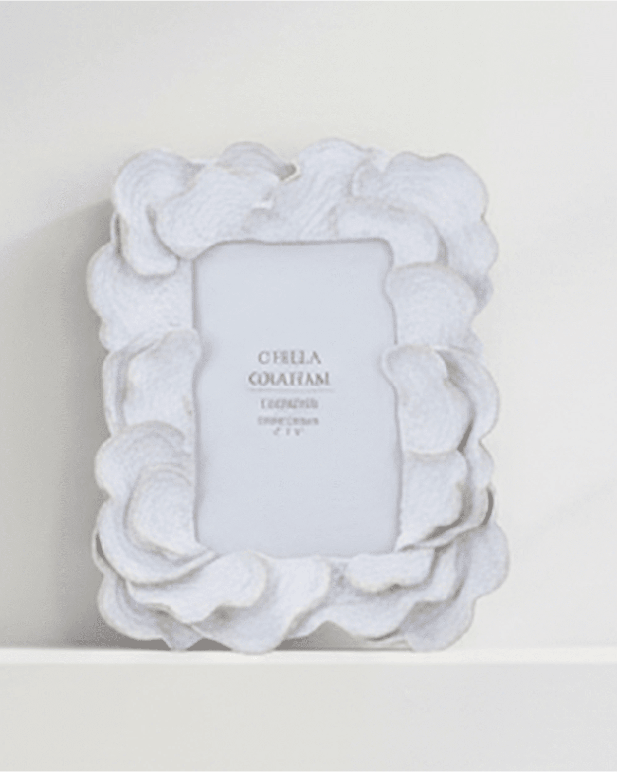 Whitewash oyster resin photo frame by Gisela Graham holding a 4x6cm picture, featuring a delicate anemone design.