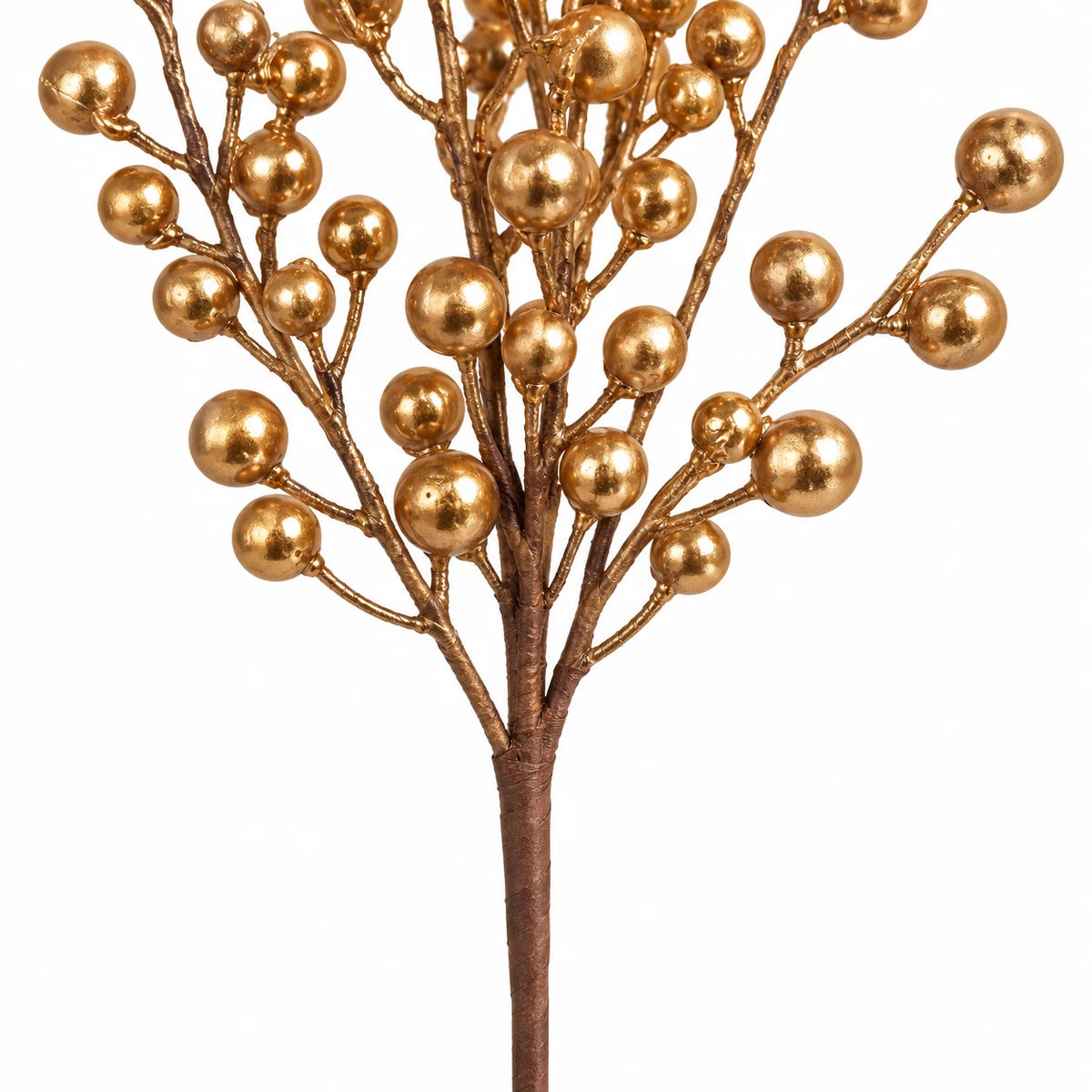 Close-up of the Gold Berries stem showing metallic berries and brown branch junctions.