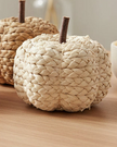 Small Natural Rafia Plain Pumpkin