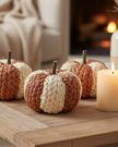 Small Natural Rafia Patterned Pumpkin
