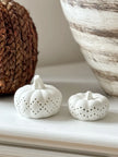 White Ceramic Light Up LED Pumpkin – Elegant Illuminated Autumn Decoration - Seasonal Decor - AutumnSeasonal Decor - Autumn - Lulu Loves Home