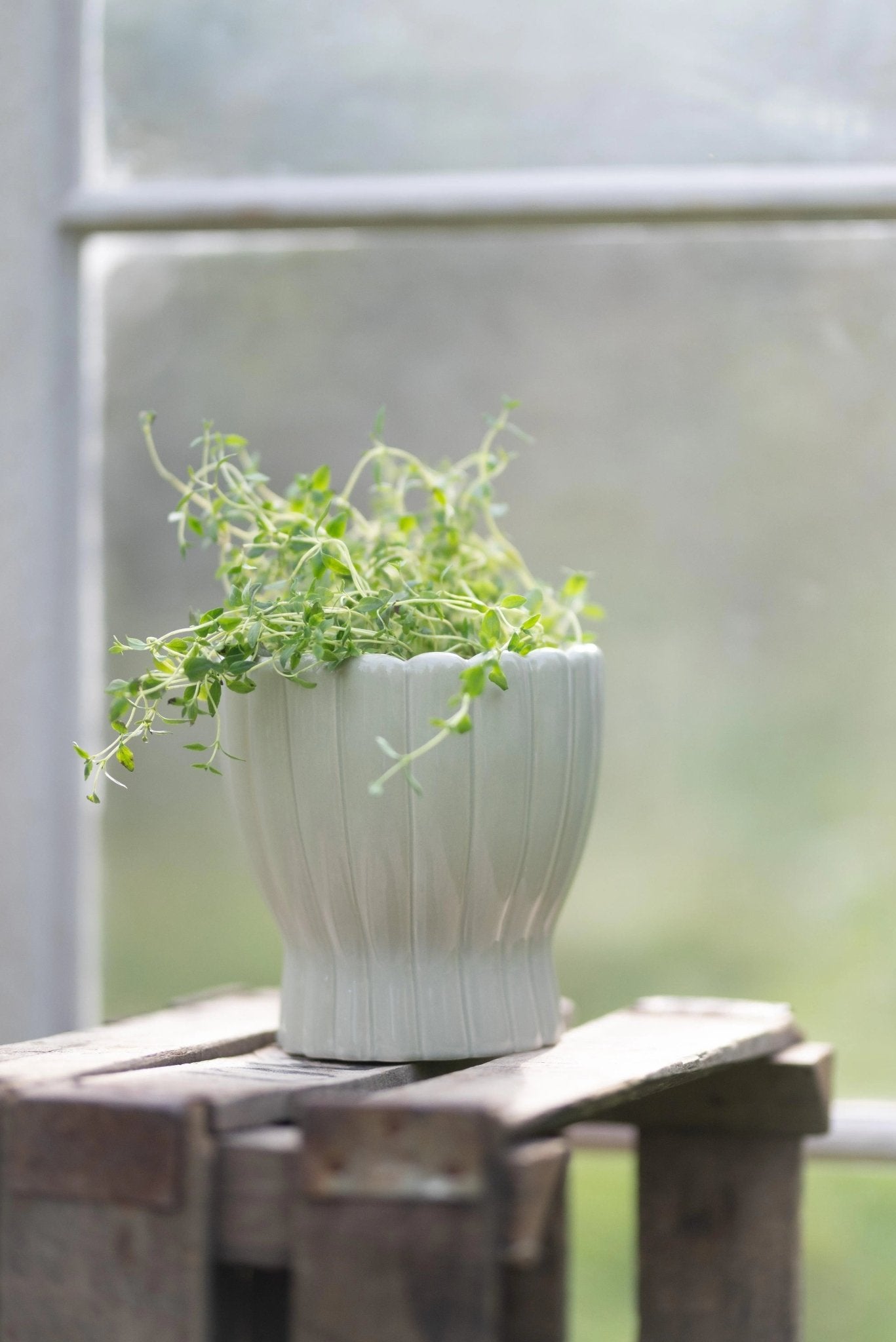 Hedvig Orchid Pot White - Home DecorHome Decor - Lulu Loves Home