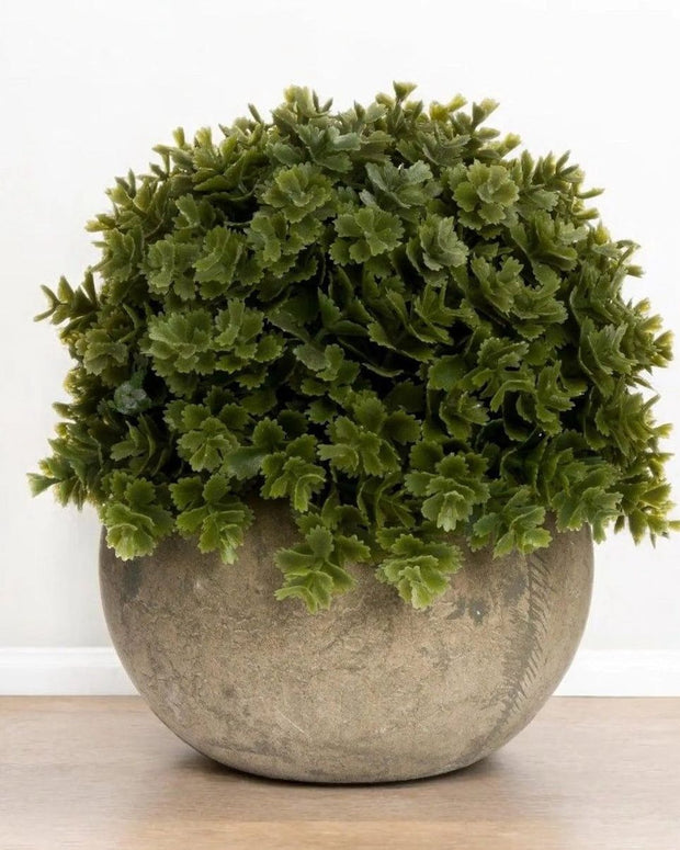 Artificial potted dark green Hebe plant from Hill Interiors, showcasing realistic small green foliage in a pot.