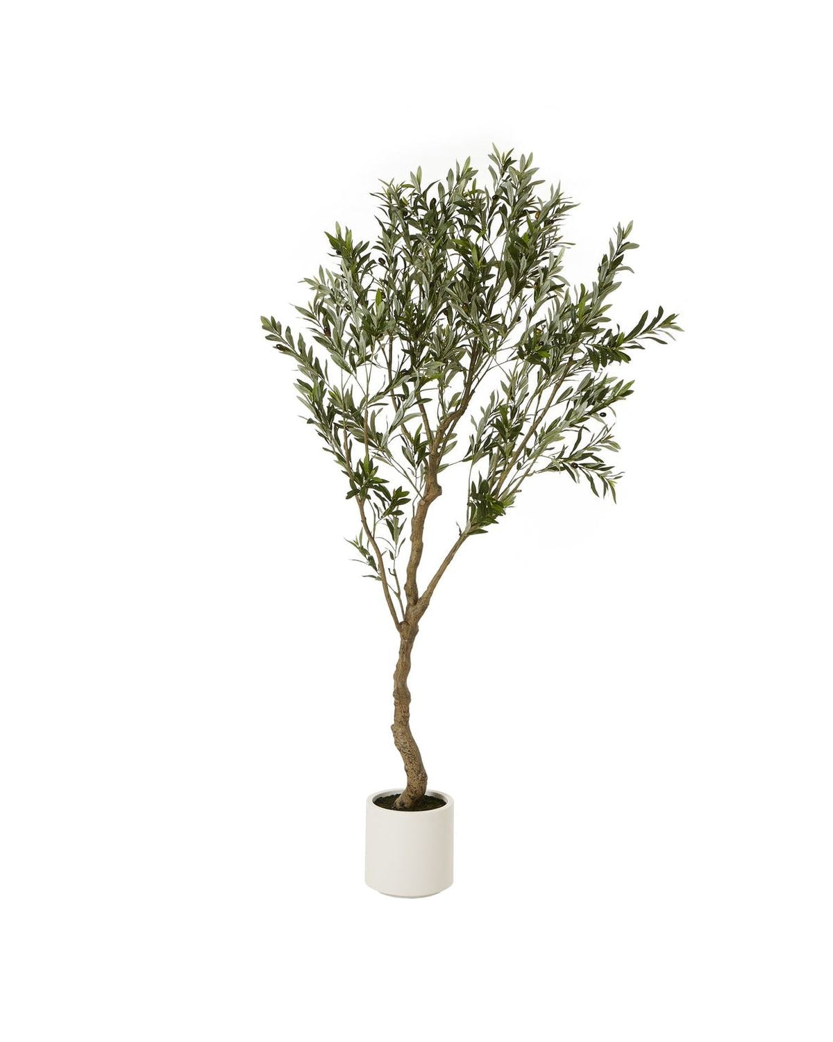 Artificial Potted Olive Tree - Extra Large - Apulia - PRE ORDER THREE WEEK DELIVERY