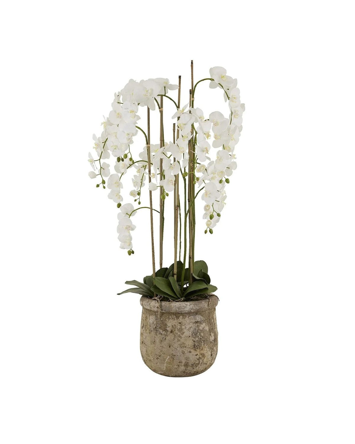 Artificial white orchid plant in antique stone pot, decorative Hill Interiors faux plant with lush blooms and elegant presentation.