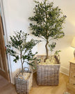 Large artificial faux olive tree from Hill Interiors with lush green leaves and sturdy trunk, ideal for indoor or outdoor decor.