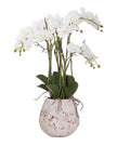 Large stone potted artificial orchid with visible roots, decorative plant by Hill Interiors, perfect for home or office décor.