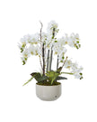 Large white artificial orchid plant in a ceramic pot, ideal for home decor by Hill Interiors.