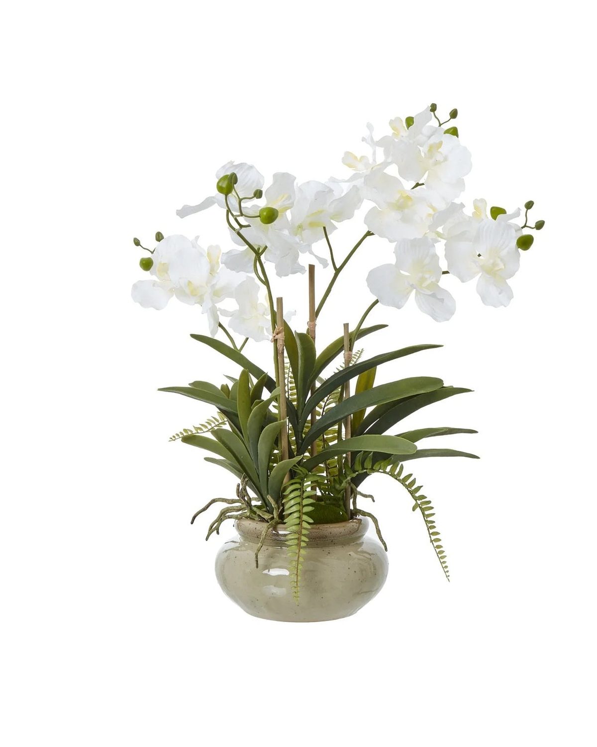 White Vanda Orchid artificial plant in a ceramic pot, decorative indoor floral arrangement by Hill Interiors.