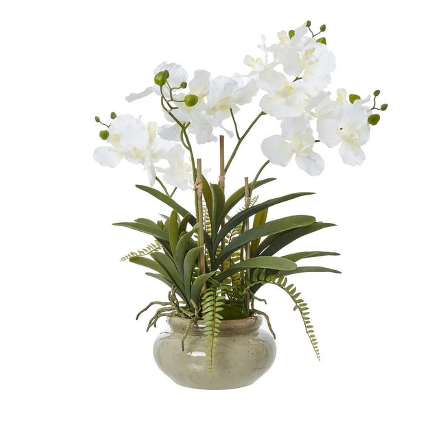White Vanda Orchid artificial plant in a ceramic pot, decorative indoor floral arrangement by Hill Interiors.