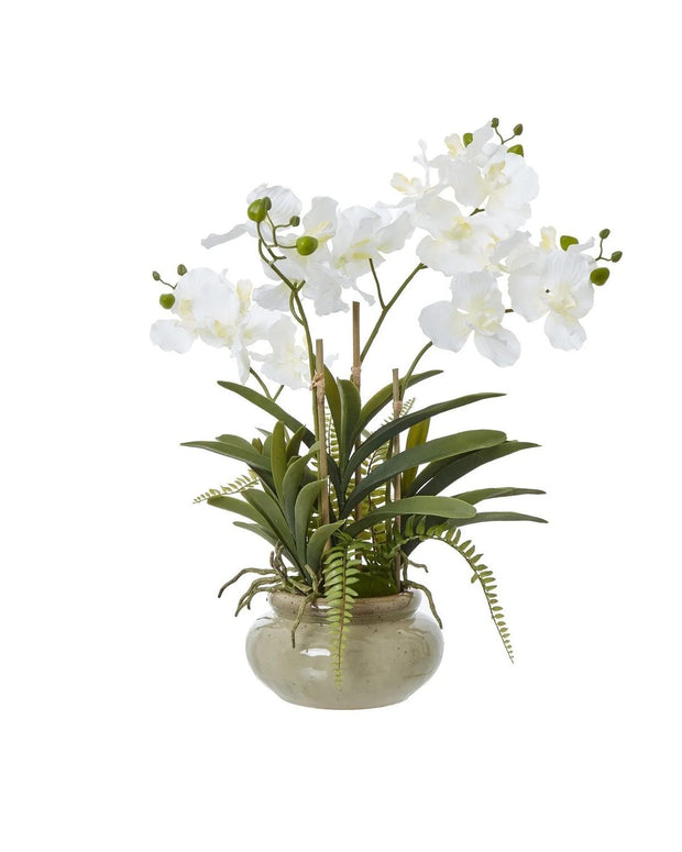 White Vanda Orchid artificial plant in a ceramic pot, decorative indoor floral arrangement by Hill Interiors.