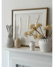 White feather wall art by Hill Interiors in a frame, showcasing a delicate feather design for elegant home decor.