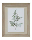 Wooden framed wall art print featuring green ferns, designed by Hill Interiors, ideal for nature-inspired home decor.