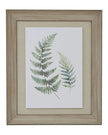 Wooden framed wall art print featuring vibrant green ferns, designed by Hill Interiors for nature-inspired home decor.