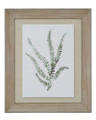 Wooden framed wall art print featuring green ferns, designed by Hill Interiors for a natural, botanical decor accent.