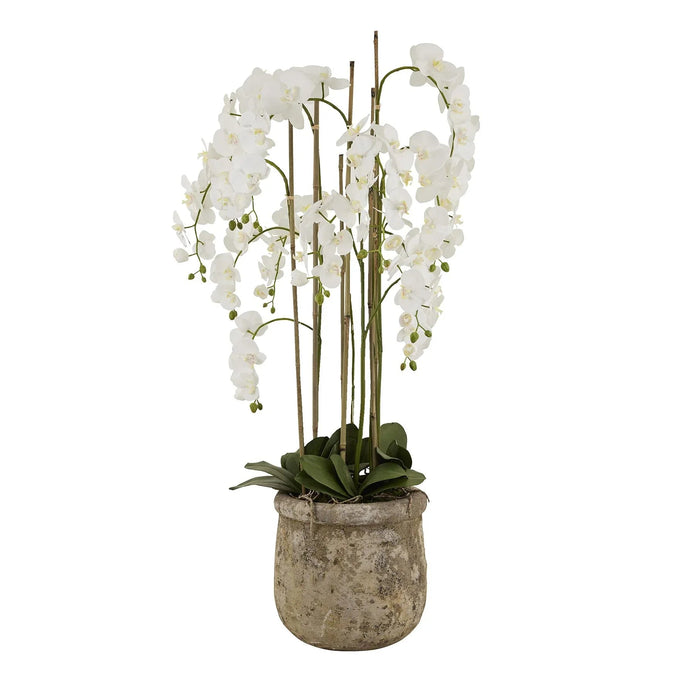 Huge White Orchid In Antique Stone Pot - Faux Plants & FlowersFaux Plants & Flowers - Lulu Loves Home