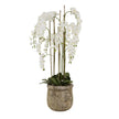 Huge White Orchid In Antique Stone Pot - Faux Plants & FlowersFaux Plants & Flowers - Lulu Loves Home